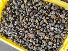 蚬子-红旗山庄(圭峰山店)