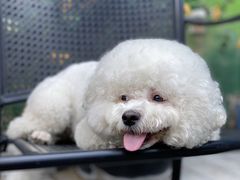 -北化机爱工场文化科技融合产业园