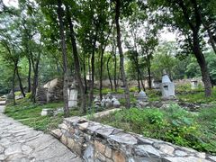 -北京上方山国家森林公园