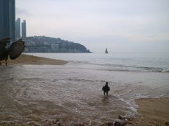 -海云台海滩