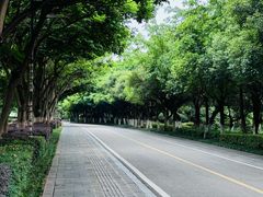 -西昌邛海湿地