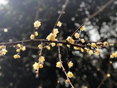 -重庆抗战遗址博物馆