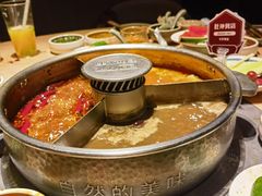 -巴奴毛肚火锅(七宝领展广场店)