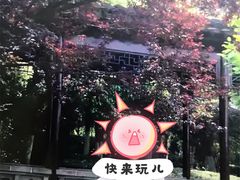 -八大山人梅湖景区