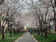 -上海财经大学(国定路校区)