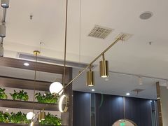 -刘胖子家常菜·蹄花焖藕(中南店)