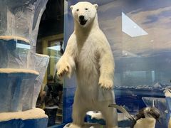 -国家自然博物馆