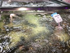 -盒马渔市餐厅