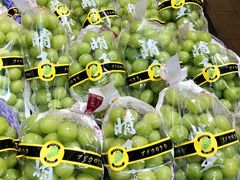 -T11生鲜超市(朝阳公园店)