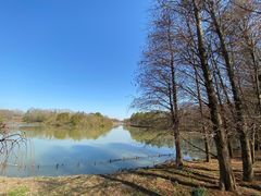 -上海海湾国家森林公园