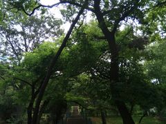 -青岛中山公园-索道售票处