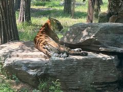 -秦皇岛野生动物园