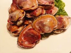 醉毛蚶-高佳庄·舟山海鲜(海景旗舰店)