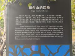 -阳台山自然风景区