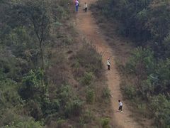 -青龙山国家森林公园