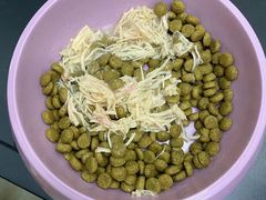 -PETKIT小佩宠物·低压洗护(国顺东路店)