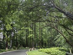 -苏州河梦清园环保主题公园