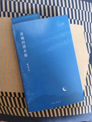 -MIVI·纹眉半永久野生眉