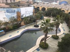 -平湖九龙山乐满地水上乐园