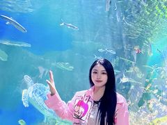 -华夏文旅海洋公园