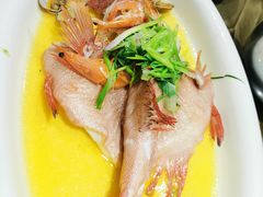 東星斑-79号渔船海鲜饭店(华强北店)