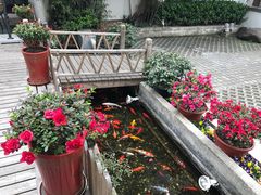 -老洋房花园饭店(绍兴路店)