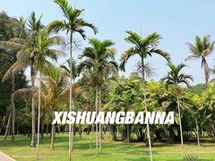 -中国科学院西双版纳热带植物园