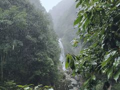 -龙湾潭国家森林公园