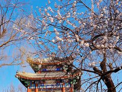 -颐和园