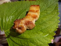 -济州爱肉堂(总店)