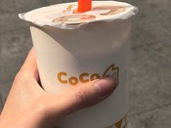 -CoCo都可(新街店)