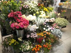 -植物学家的女儿(北马道巷店)