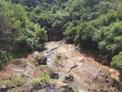 -广州白江湖森林公园