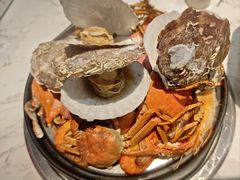 -半岛听涛蒸汽海鲜自助(K11店)