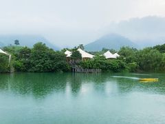 -帐篷客·溪龙茶谷度假酒店