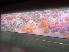 -罗红摄影艺术馆