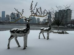 -西北湖绿化广场