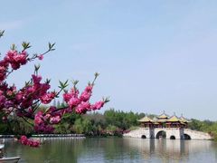 -扬州瘦西湖船宴