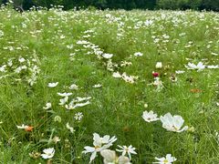 -华东政法大学(松江校区)