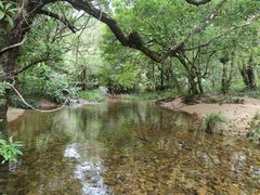 -海南热带雨林国家公园吊罗山景区
