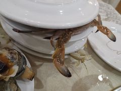 -春华海鲜城(广场西苑店)