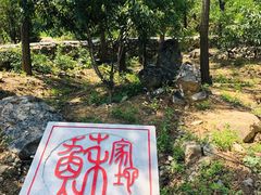 -阳台山自然风景区