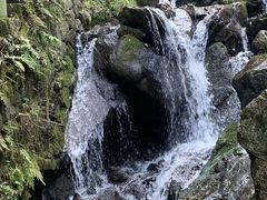 -藏龙百瀑风景区