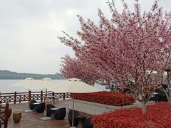 -望海·帆船主题咖啡厅•品茗下午茶(石湖景区店)