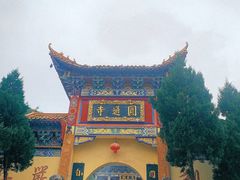-羊楼洞