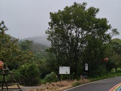 -涂山风景区