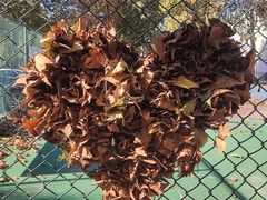 -海底捞火锅(海悦天地店)