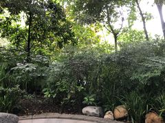 -青城道汤池