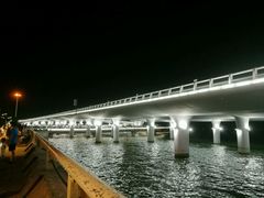 -演武大桥观景平台