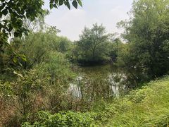 -杭州城北体育公园